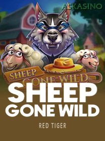 Sheep Gone Wild